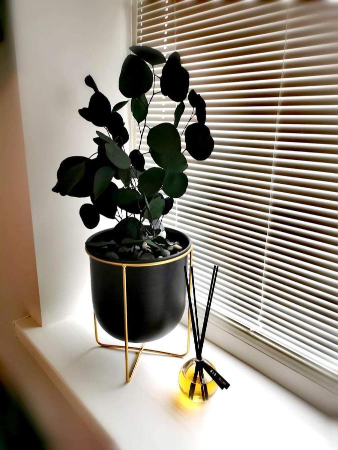 Vyturiai - Nauju Apartamentu Nuoma Sventojoje Šventoji Eksteriør billede